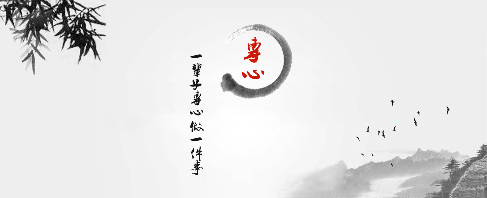 专心
